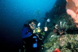 BP and the lionfish.using his new digital camera. It's a ... by Shane Clancy 